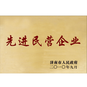 先進民營企業